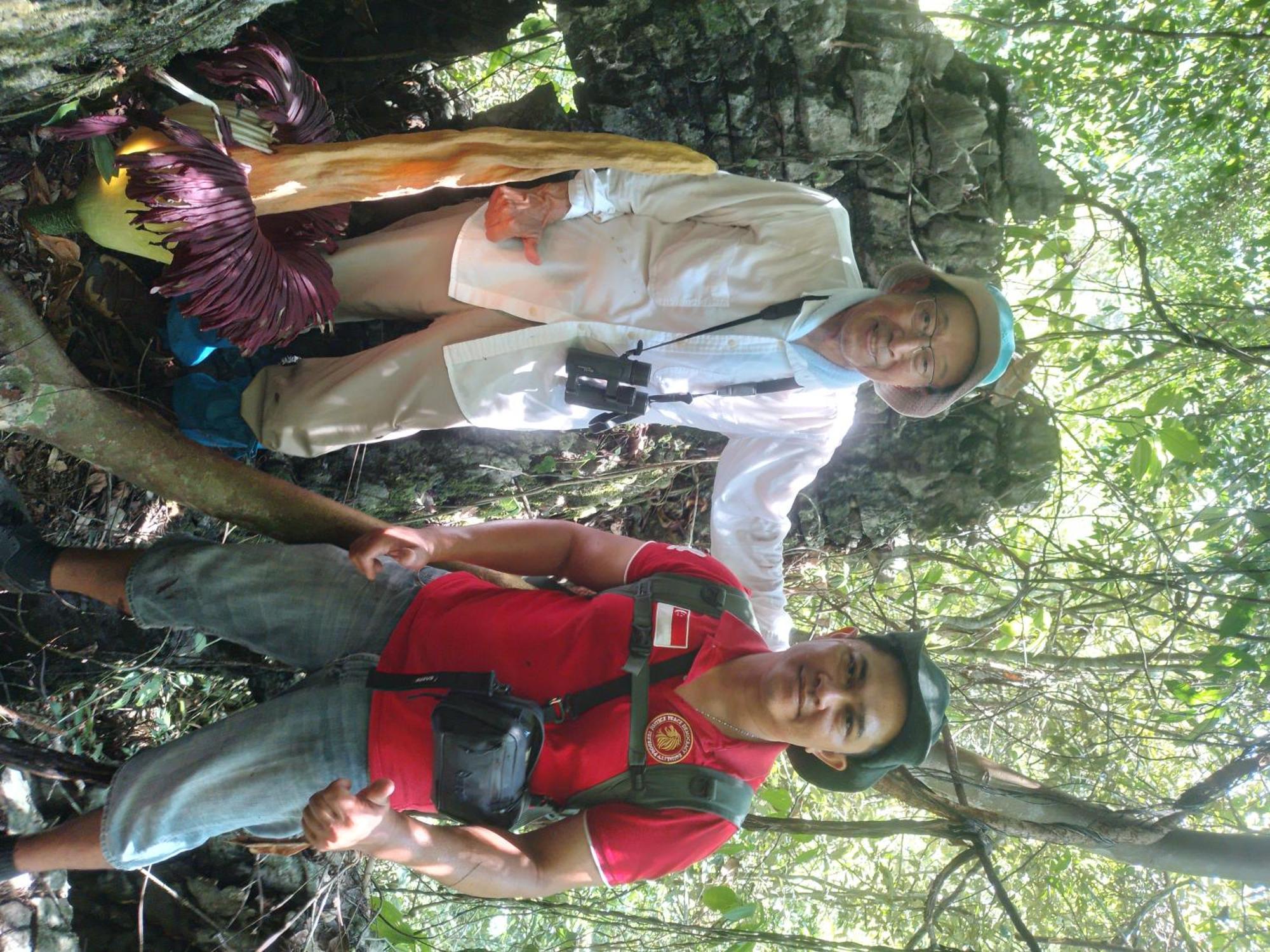 Ustin Nagoya Bukit Lawang Orangutan Trekking & Transport Only Book With Us Hotel Екстериор снимка