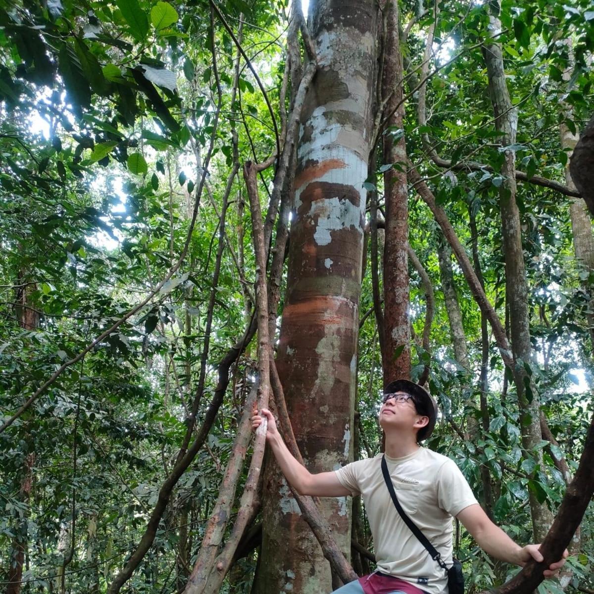 Ustin Nagoya Bukit Lawang Orangutan Trekking & Transport Only Book With Us Hotel Екстериор снимка